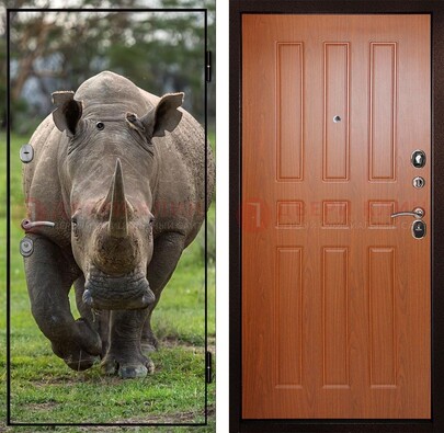 Металлическая дверь с фотопечатью носорога ДФ-31 в Ярославле